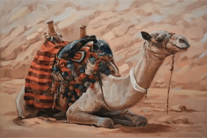 ARABIAN CAMEL