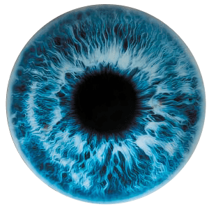 EYE