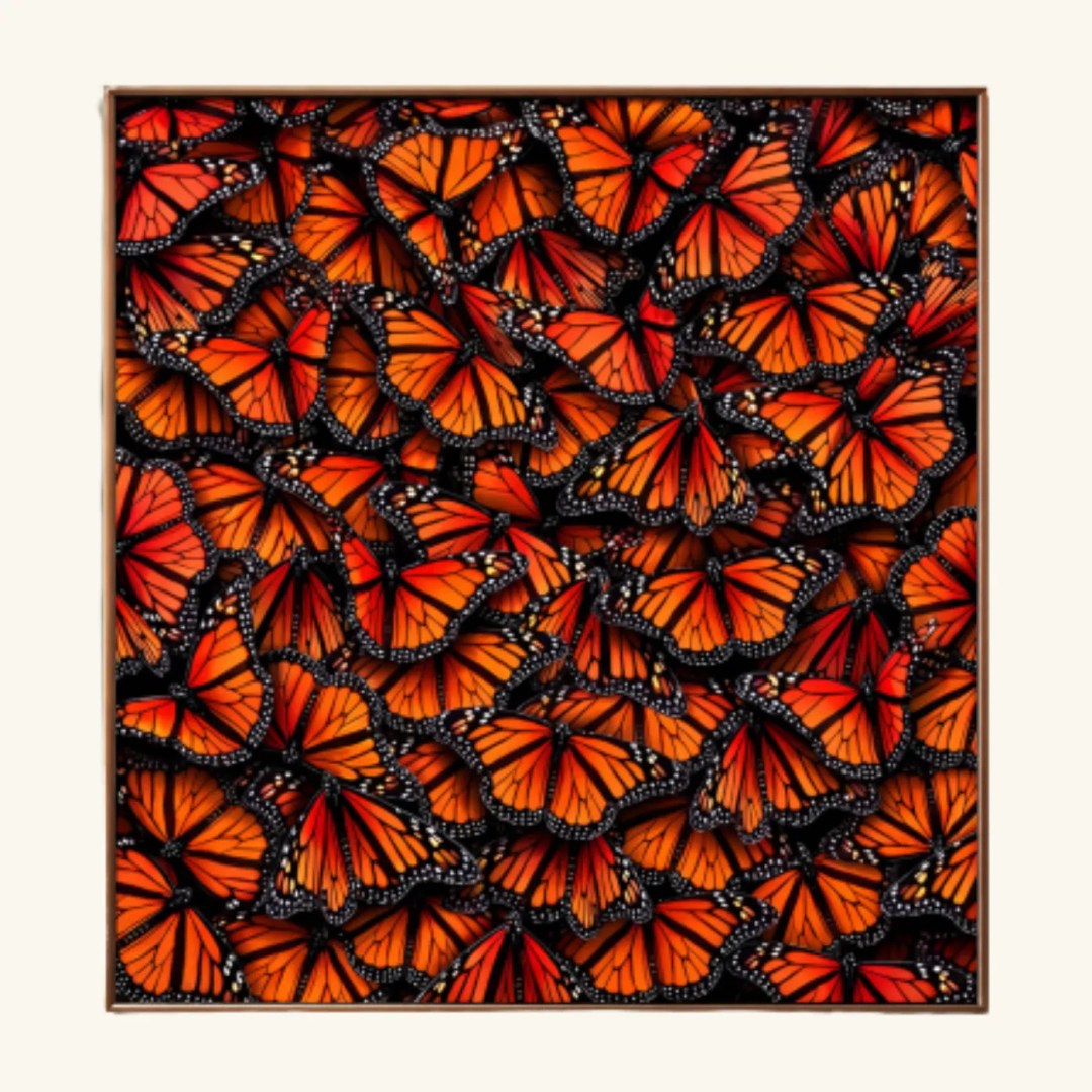 BUTTERFLY.2
