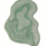 NEXA Hand Tufted Carpet