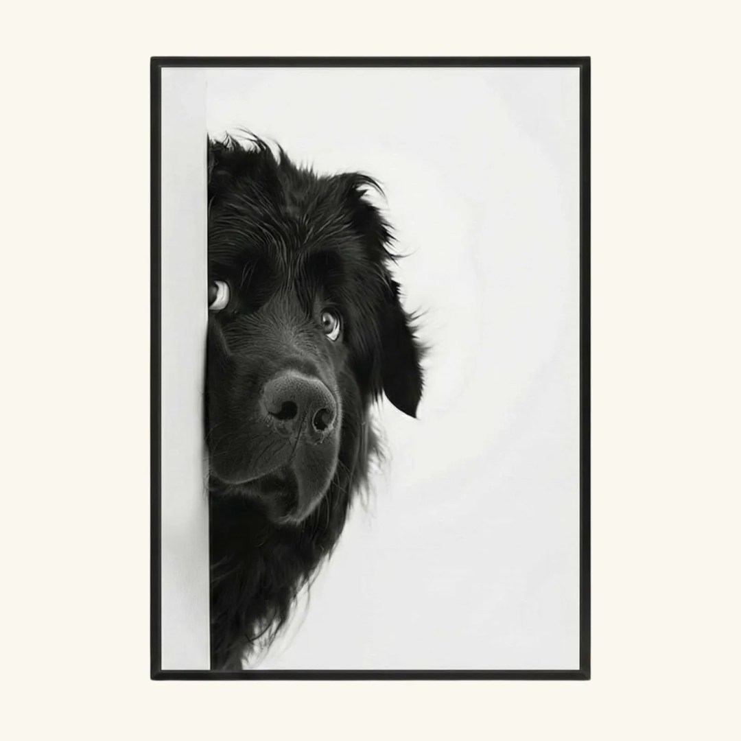 BLACK DOG
