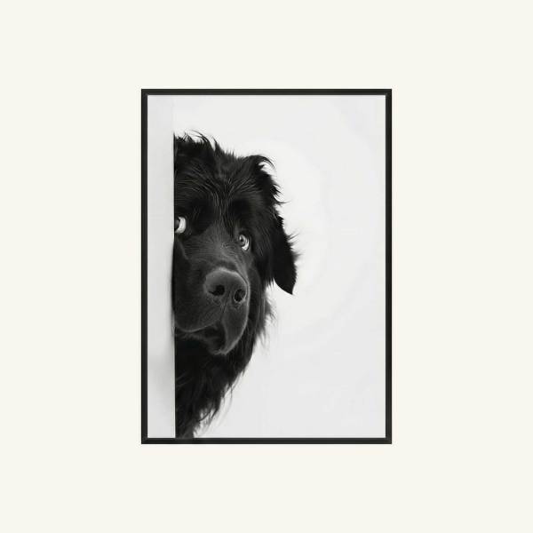 BLACK-DOG