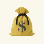 Money Bag