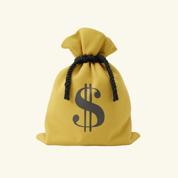 Money Bag
